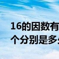 16的因数有几个分别是哪些（16的因数有几个分别是多少）