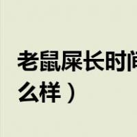 老鼠屎长时间不清理会变成蛆吗（老鼠屎长什么样）