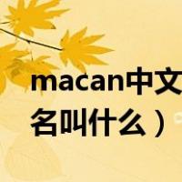 macan中文名和卡宴怎么区别（macan中文名叫什么）