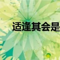 适逢其会是成语吗（适逢其会是什么意）