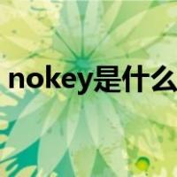 nokey是什么意思（nokey是什么意思本田）