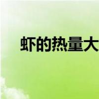 虾的热量大概是多少（虾的热量是多少）