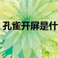 孔雀开屏是什么时间（孔雀开屏是什么意思）