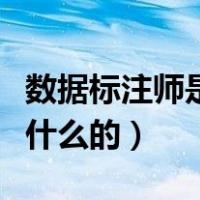 数据标注师是干什么工作的（数据标注师是干什么的）