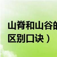 山脊和山谷的区别口诀高三网（山脊和山谷的区别口诀）