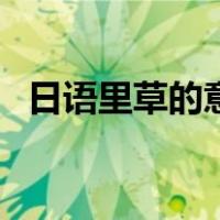 日语里草的意思（草在日语里是什么意思）