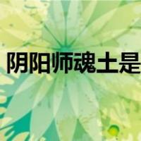 阴阳师魂土是什么意思（阴阳师魂土是什么）