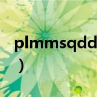 plmmsqdd什么意思（plmm和sqgg啥意思）