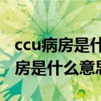 ccu病房是什么意思允许家属探视吗（CCU病房是什么意思）