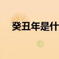 癸丑年是什么年命（癸丑年是什么年代）