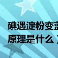 碘遇淀粉变蓝的原理再还原（碘遇淀粉变蓝的原理是什么）