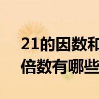 21的因数和倍数有哪些写5个（21的因数和倍数有哪些）