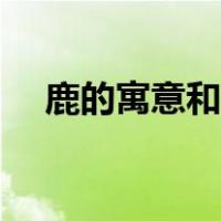 鹿的寓意和象征名字（鹿的寓意是啥呢）