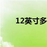 12英寸多少厘米（12英寸多少厘米）