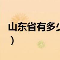 山东省有多少个天下第一（山东省有多少个市）