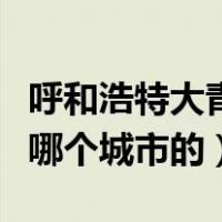 呼和浩特大青山属于哪个区（内蒙古大青山是哪个城市的）