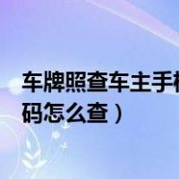 车牌照查车主手机号码怎么查支付宝（车牌照查车主手机号码怎么查）