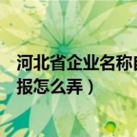 河北省企业名称自主申报系统入口（河北省企业名称自主申报怎么弄）