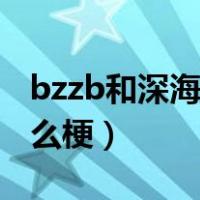 bzzb和深海鱼分手的原因（bzzb和深海鱼什么梗）