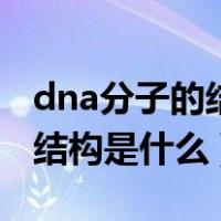 dna分子的结构是什么模型结构（dna分子的结构是什么）