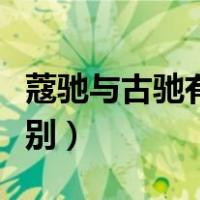 蔻驰与古驰有什么不同（蔻驰与古驰有什么区别）