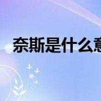 奈斯是什么意思什么梗（奈斯是什么意思）