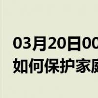 03月20日00时宁夏石嘴山最新疫情消息发布 如何保护家庭成员？