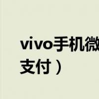 vivo手机微信设置指纹支付（微信设置指纹支付）