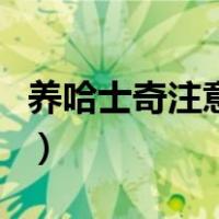 养哈士奇注意事项有哪些（养哈士奇注意事项）