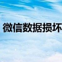 微信数据损坏了是什么原因（微信数据损坏）