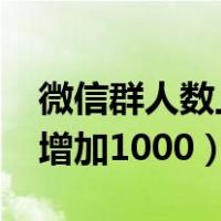 微信群人数上限2000（微信群人数上限怎么增加1000）