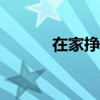 在家挣钱网官网（在家挣钱网）