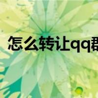 怎么转让qq群主一个月（怎么转让qq群主）