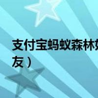 支付宝蚂蚁森林如何屏蔽好友（支付宝蚂蚁森林怎么屏蔽好友）