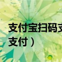 支付宝扫码支付后怎么联系对方（支付宝扫码支付）