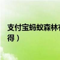 支付宝蚂蚁森林有什么用（支付宝蚂蚁森林环保证书怎么获得）