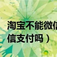 淘宝不能微信支付吗没有银行卡（淘宝不能微信支付吗）