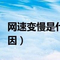 网速变慢是什么原因手机（网速变慢是什么原因）