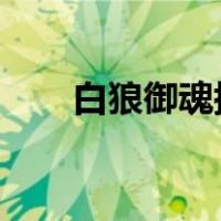 白狼御魂搭配2021（白狼御魂搭配）