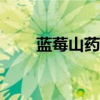 蓝莓山药泥摆盘图片（蓝莓山药泥）