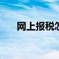 网上报税怎么报啊（网上报税怎么报）