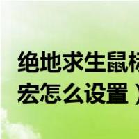 绝地求生鼠标宏怎么设置出来（绝地求生鼠标宏怎么设置）