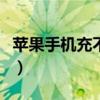 苹果手机充不进电怎么办（苹果手机充不进电）