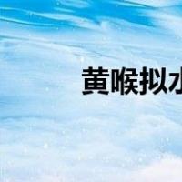 黄喉拟水龟怎么养（水龟怎么养）