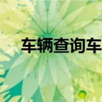 车辆查询车主联系方式（车辆查询车主）