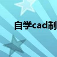 自学cad制图买什么书（自学cad制图）