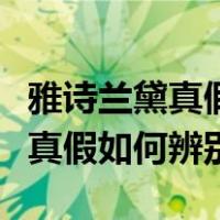 雅诗兰黛真假如何辨别美版小棕瓶（雅诗兰黛真假如何辨别）