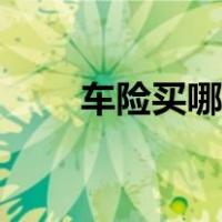 车险买哪几种最好（车险买哪几种）