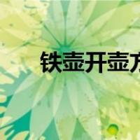 铁壶开壶方法有哪些（铁壶开壶方法）