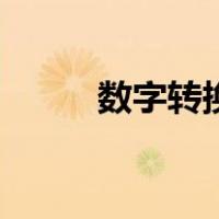 数字转换成文本格式（数字转换）